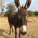 Asinerie Kuleni Penzion
