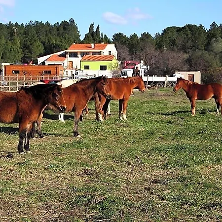 Gasthuis Asinerie Kuleni Ponteilla
